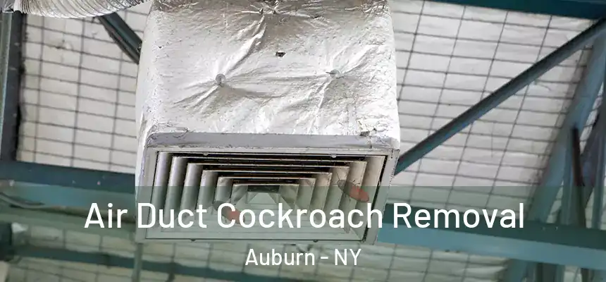  Air Duct Cockroach Removal Auburn - NY