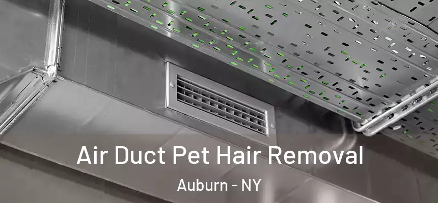 Air Duct Pet Hair Removal Auburn - NY