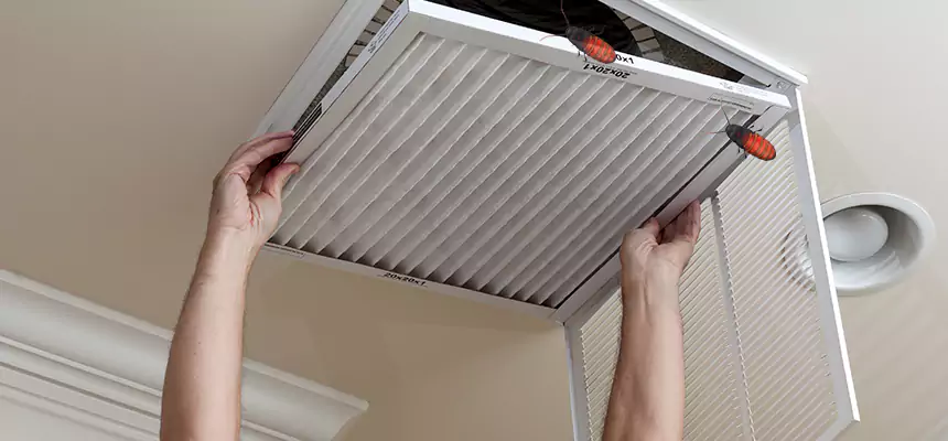 Preventive Cockroach-Proofing for Ducts in Auburn