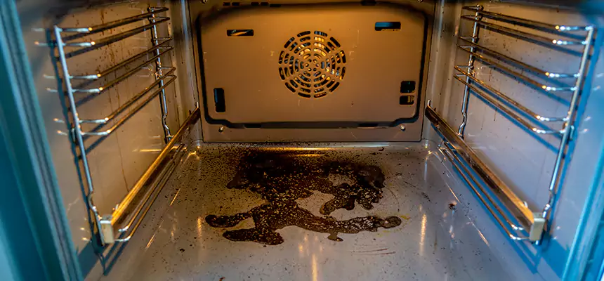 Our Dryer Vent Mold Cleaning Services in Auburn, NY