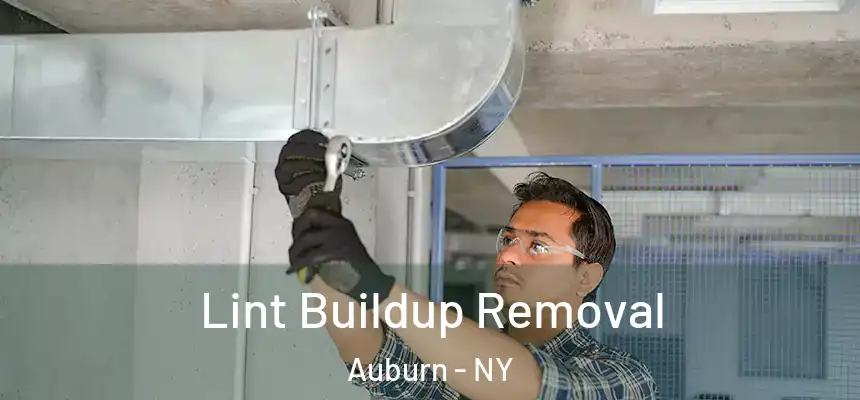  Lint Buildup Removal Auburn - NY