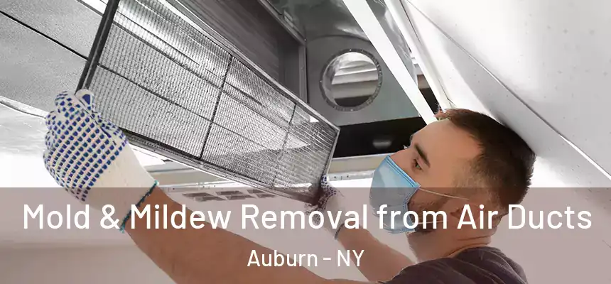 Mold & Mildew Removal from Air Ducts Auburn - NY