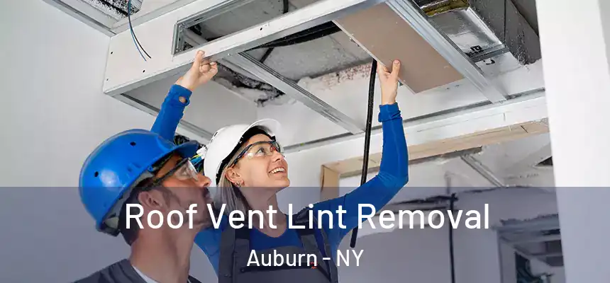  Roof Vent Lint Removal Auburn - NY