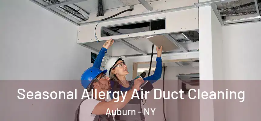 Seasonal Allergy Air Duct Cleaning Auburn - NY