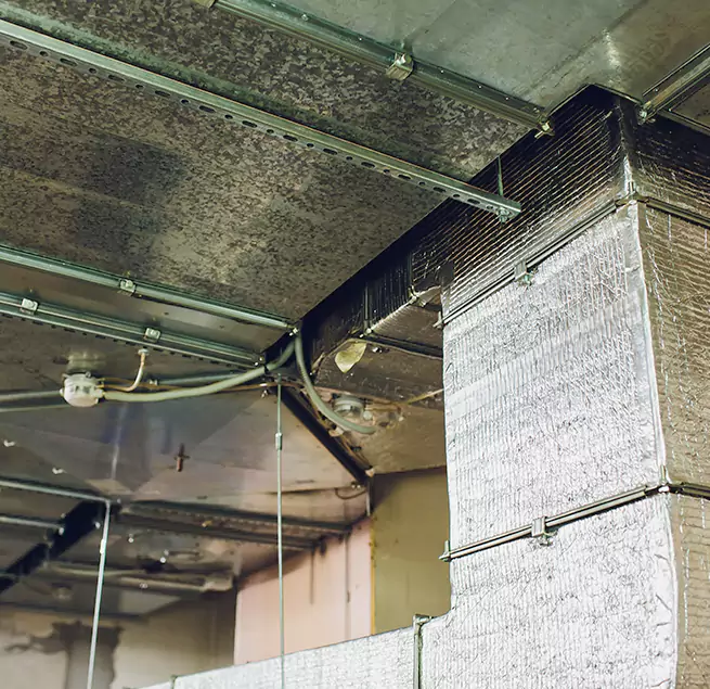 Why Homeowners & Businesses Trust Us in Auburn, NY?